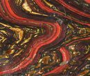 Polished Tiger Iron Stromatolite - ( Billion Years) #38920-1